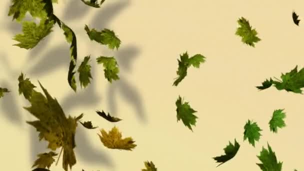 Animace Podzimních Listů Padajících Žluté Pozadí Příroda Koncepce Udržitelnosti Digitálně — Stock video
