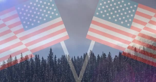 Animation Zweier Amerikanischer Flaggen Über Einer Atemberaubenden Waldlandschaft Patriotismus Unabhängigkeit — Stockvideo
