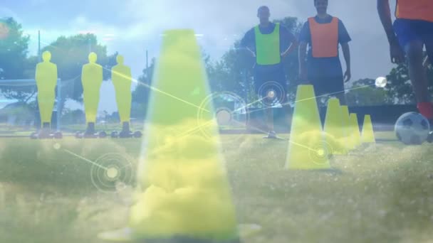 Animazione Della Rete Connessioni Sui Giocatori Calcio Che Praticano Sul — Video Stock