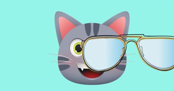 Animatie Van Schattige Kat Met Bril Blauwe Achtergrond Dieren Natuurconcept — Stockvideo