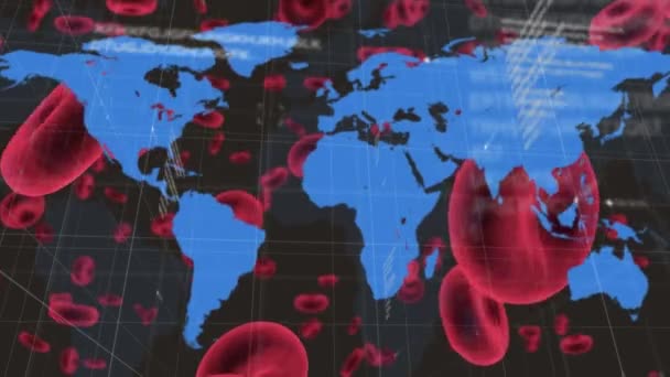 赤血球のアニメーションと世界地図上のデータ処理 世界中で流行している19の概念をデジタルで — ストック動画