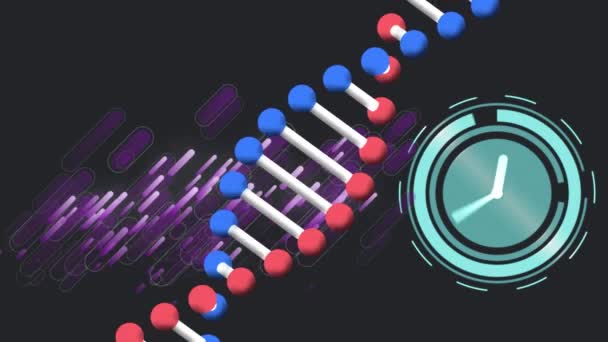 Animaatio Dna Strand Kello Mustalla Taustalla Puolue Juhla Käsite Digitaalisesti — kuvapankkivideo