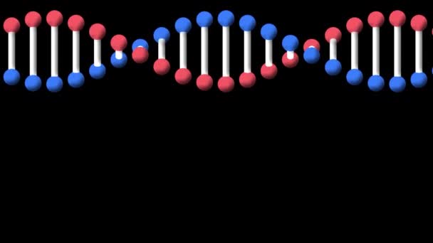 Animation Rotating Dna Strand Black Background Medical Research Technology Genetics — Stock Video