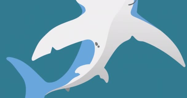 Animación Tiburón Azul Blanco Sobre Fondo Azul Concepto Animal Naturaleza — Vídeo de stock