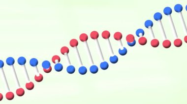 Yeşil arka planda dönen DNA iplikçiklerinin canlandırması. Bilim ve araştırma konsepti dijital olarak oluşturulmuş video.