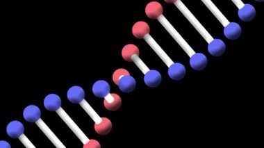 Animation of dna strand spinning on black background. science and research concept digitally generated video.