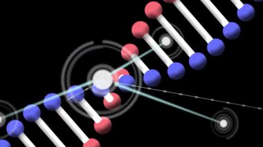 Siyah arkaplan üzerindeki DNA ipliği üzerindeki simgelerle bağlantı ağının animasyonu. küresel dijital arayüz, teknoloji ve ağ konsepti dijital olarak oluşturulmuş video.