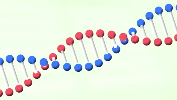 Animering Dna Strängen Snurrar Grön Bakgrund Vetenskap Och Forskning Koncept — Stockvideo