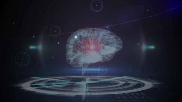 Animazione Della Rete Connessioni Con Cervello Umano Elaborazione Dei Dati — Video Stock