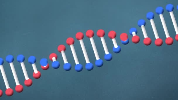 青色の背景に回転する3D Dna鎖のアニメーション 医学研究科学と遺伝学の概念デジタルアニメーション — ストック動画