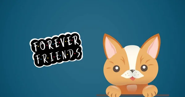 Composition Friends Forever Text Cute Cat Blue Background Animal Fun — Stock Photo, Image