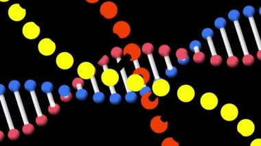 Animation of two rotating strands of dna on black background and pink circle. medical science, research and wellbeing concept, digitally generated video.
