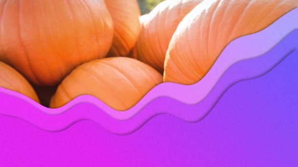 Animation Purpurfarbener Wellen Über Einem Kürbisfleck Halloween Herbstfest Und Brauchtumskonzept — Stockvideo