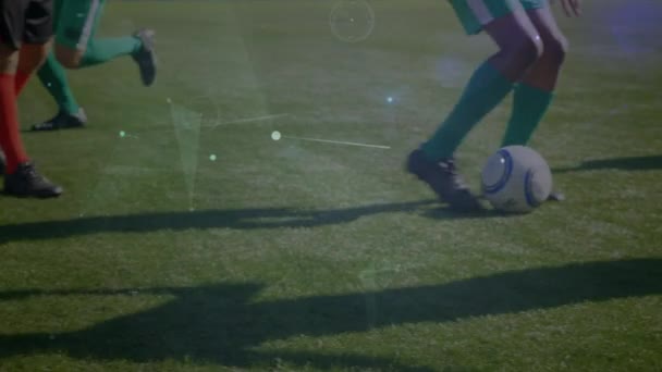 Animatie Van Het Netwerk Van Verbindingen Voetballers Die Oefenen Het — Stockvideo