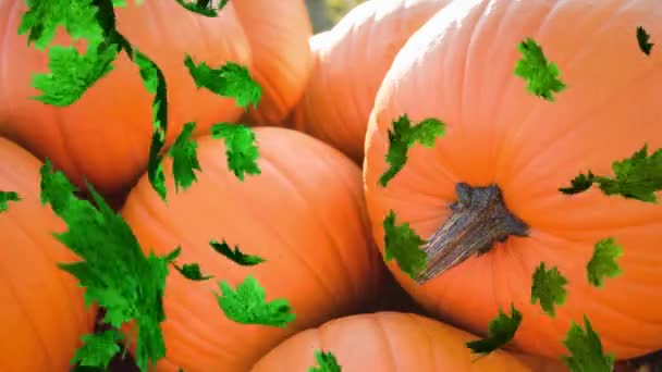 Animación Hojas Otoño Que Caen Sobre Parche Calabaza Halloween Otoño — Vídeos de Stock