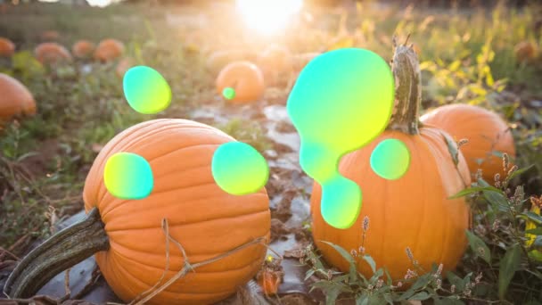 Animación Salpicaduras Azules Amarillas Sobre Parche Calabaza Halloween Otoño Celebración — Vídeo de stock