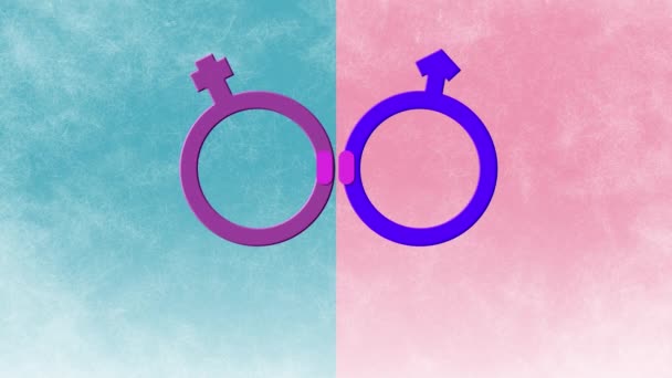 动画文本中的性别 男女性别符号由等号 蓝色和粉色连接在一起 人权和两性平等 数码动画 — 图库视频影像