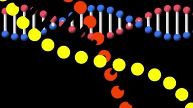 Siyah arka plan ve pembe daireye dönüşen iki DNA ipliği animasyonu. pozitif duygular, kutlama ve refah konsepti, dijital olarak oluşturulmuş video.