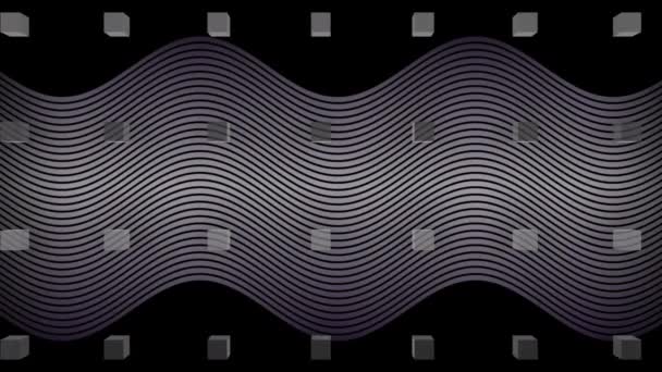 Animation Thin Wavy Kinetic White Lines Rows Blocks Moving Black — Stock Video