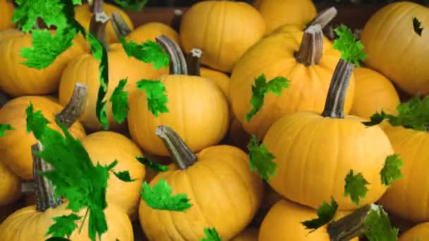 Animazione Foglie Autunnali Che Cadono Sopra Zona Zucca Halloween Autunno — Video Stock