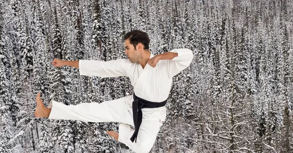 冬の風景に対する黒帯と白人男性の結婚アーティストのデジタル複合画像 スポーツ競技とトーナメントのコンセプト — ストック写真
