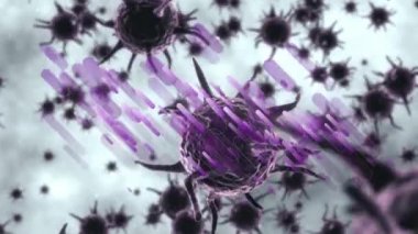 Mor renkli covid 19 hücrenin üzerindeki mor ışık izlerinin animasyonu. Coronavirus covid 19 salgını sırasında dijital olarak üretilen video.