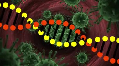 Yeşil covid 19 hücreler üzerinde dönen DNA ipliklerinin animasyonu. Coronavirus covid 19 salgını sırasında dijital olarak üretilen video.