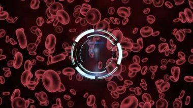 Kırmızı kan hücreleri üzerinde dönen dairesel tarayıcının animasyonu. Coronavirus covid 19 salgını sırasında dijital olarak üretilen video.