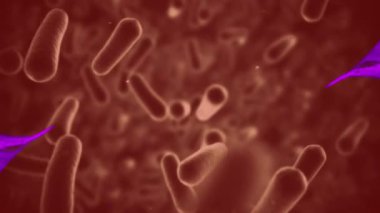 Mor ışık izleri ve yüzen 19 hücrenin animasyonu. küresel covid 19 salgın konsepti dijital olarak oluşturulmuş video.