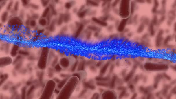 Animation Blue Light Trails Brown Covid Cells Global Covid Pandemic — Stock Video