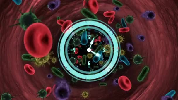 Animação Relógio Scanner Circular Girando Sobre Células Vivas Células Sanguíneas — Vídeo de Stock