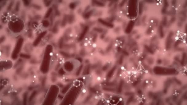 Animatie Van Draaiende Moleculen Macrobacteriën Covid Cellen Global Covid Pandemisch — Stockvideo