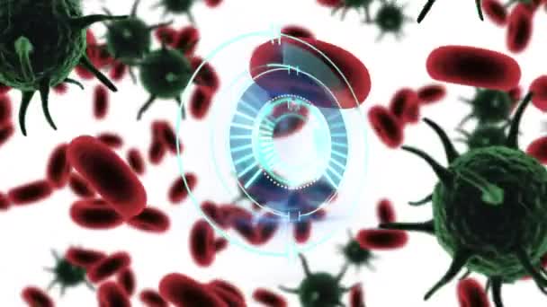Animace Kruhového Skeneru Rotujícího Nad Červenými Krvinkami Kovidními Buňkami Bílém — Stock video