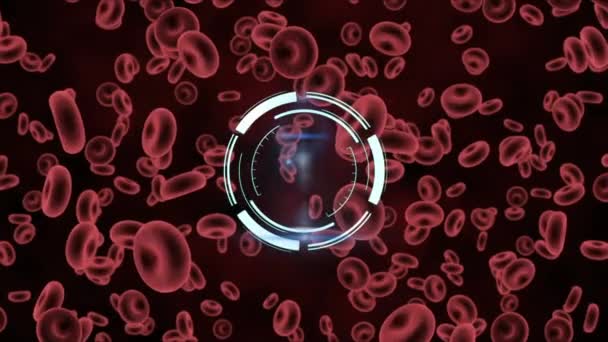 Animación Del Escáner Circular Girando Sobre Glóbulos Rojos Salud Tecnología — Vídeo de stock