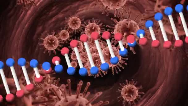 19個の細胞を回転させるDna鎖のアニメーション コロナウイルスの間の医療技術と保護は19のパンデミックを克服しデジタルで生成されたビデオを — ストック動画