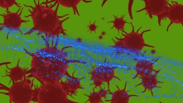 Animering Blå Ljusslingor Och Makroröda Covid Celler Global Covid Pandemikoncept — Stockvideo