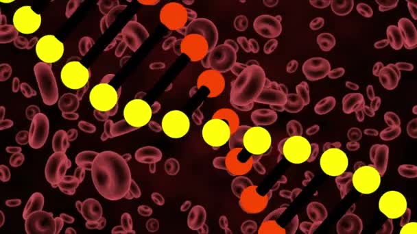 Animace Vlákna Dna Rotujícího Kovidních Buňkách Krevních Buňkách Zdravotní Péče — Stock video