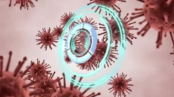 用圆形扫描仪在软体动物19个细胞上动画 处理数据 Coronavirus Covid 19大流行病期间的保健 技术和保护 数码录像 — 图库视频影像