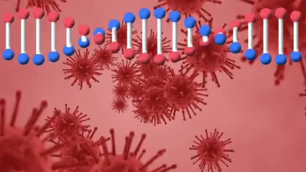 Animação Fio Dna Girando Células Vívidas Flutuando Conceito Global Pandemia — Vídeo de Stock