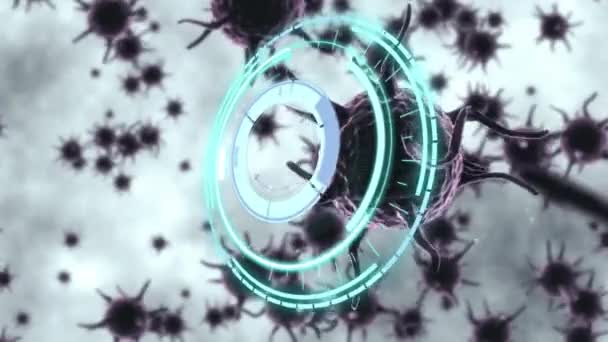 Animación Escáner Circular Girando Sobre Covid Celdas Salud Tecnología Protección — Vídeo de stock