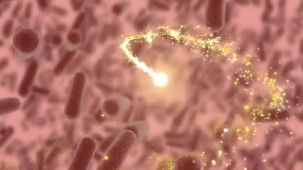 Animation Shooting Star Spinning Macro Bacteria Covid Cells Global Covid — Stock Video