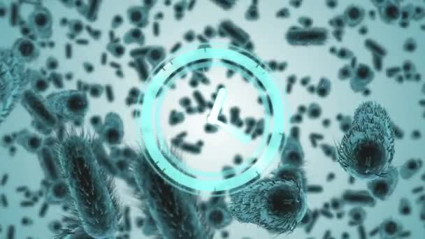 세포와 혈구로 이루어진 공동으로 회전하는 시계의 애니메이션 코로나 바이러스가 유행하는 — 비디오