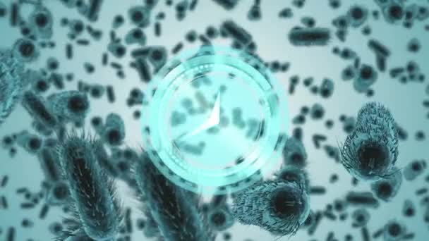 Анимирование Часов Спектра Просматривает Ковид Клетки Крови Здравоохранение Технологии Защита — стоковое видео