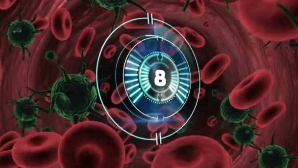 循环扫描仪在红血球上旋转的动画 Coronavirus Covid 19大流行病期间的保健 技术和保护 数码录像 — 图库视频影像