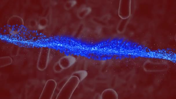 Animatie Van Blauwe Lichtsporen Rode Bacteriën Covid Cellen Global Covid — Stockvideo