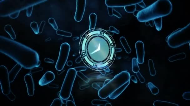 Animation Von Uhr Und Kreisförmigem Scanner Der Über Blutzellen Rotiert — Stockvideo
