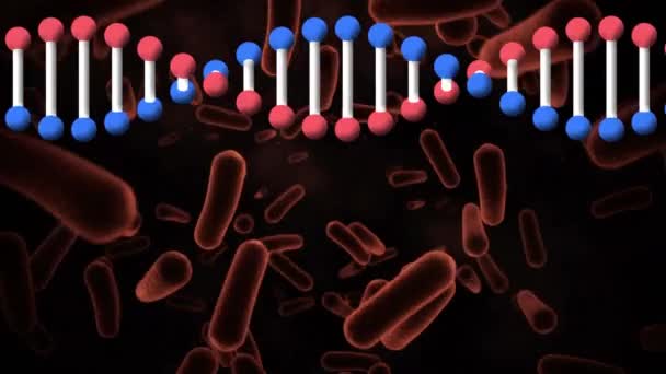 Animatie Van Een Dna Streng Die Roteert Bloedcellen Gezondheidszorg Technologie — Stockvideo
