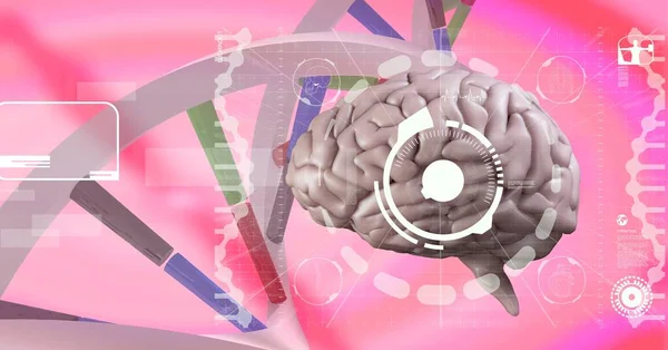 Обработка Медицинских Данных Структуре Днк Мозгу Человека Фоне Розового Градиента — стоковое фото