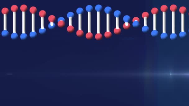 Animation Dna Strand Model Rotating Moving Light Dark Background Medical — Stock Video