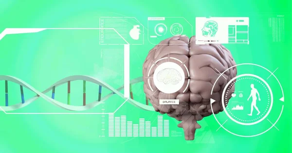 Lékařská Data Zpracovávající Strukturu Dna Lidský Mozek Pozadí Zeleného Gradientu — Stock fotografie